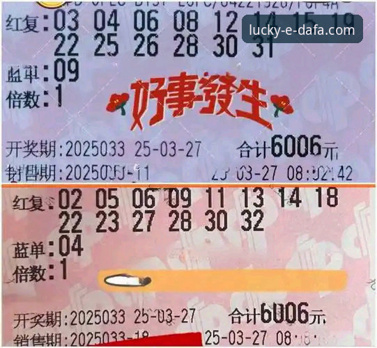 大发彩票官方网站使用技巧深度对比：新手vs老手，谁更懂高效购彩？